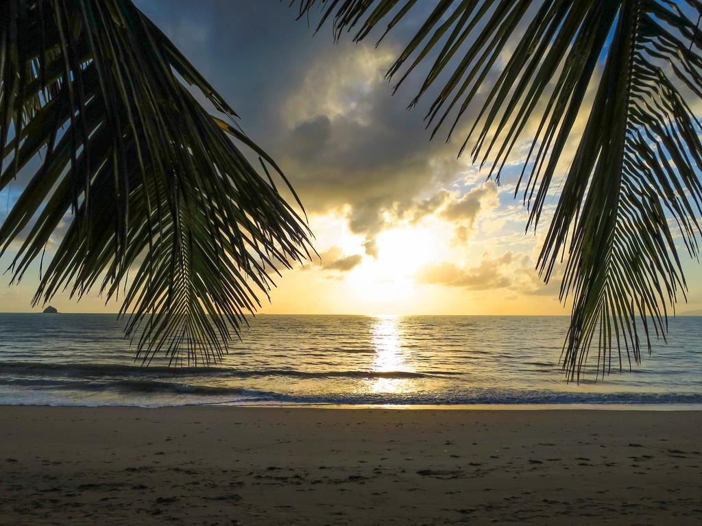 Marlin Waters Beachfront Apartments Palm Cove Room photo